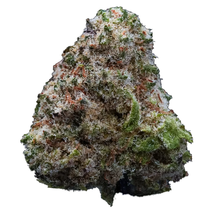 Lime Sherbet